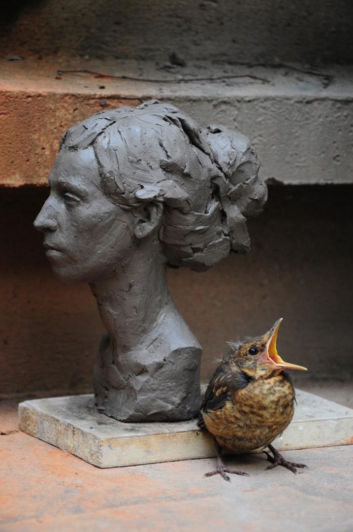 Exposition Michel Lauricella à partir du Jeudi 27 octobre 2016